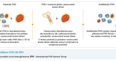 Obr. 1 Klasifikace PNH dle IPIG