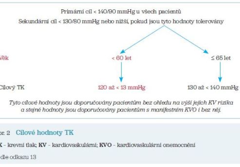 Obr. 2 Cílové hodnoty TK