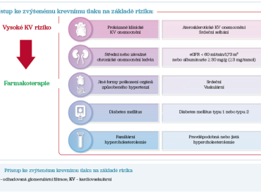 Obr. 2 Přístup ke zvýšenému krevnímu tlaku na základě rizika