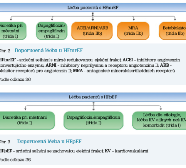 Obr. 3 Doporučená léčba u HFpEF