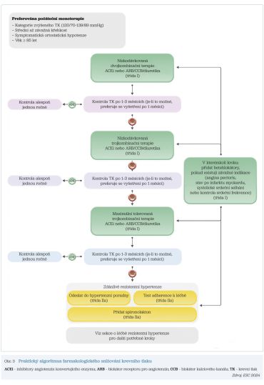 Obr. 3 Praktický algoritmus farmakologického snižování krevního tlaku