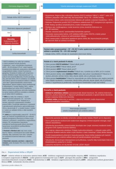 Obr. 4 Doporučená léčba u HFpEF